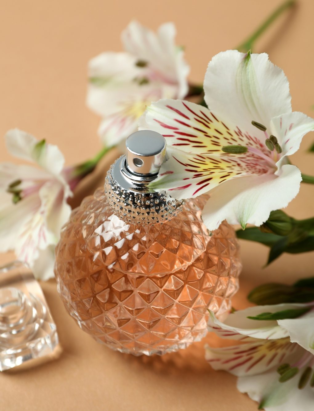 Composition with bottle of female perfume, close up